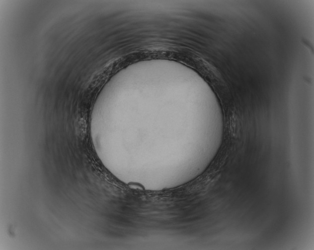 X0000103130821200809121729