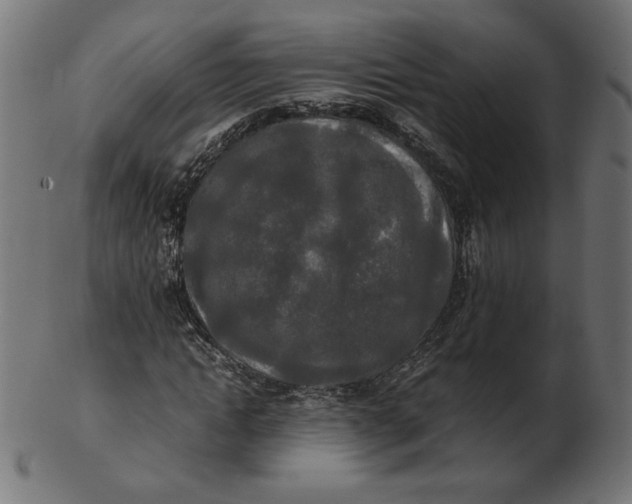 X0000103130822200809121729