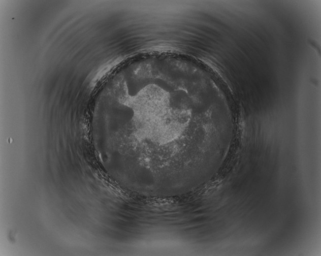 X0000103130823200809121729