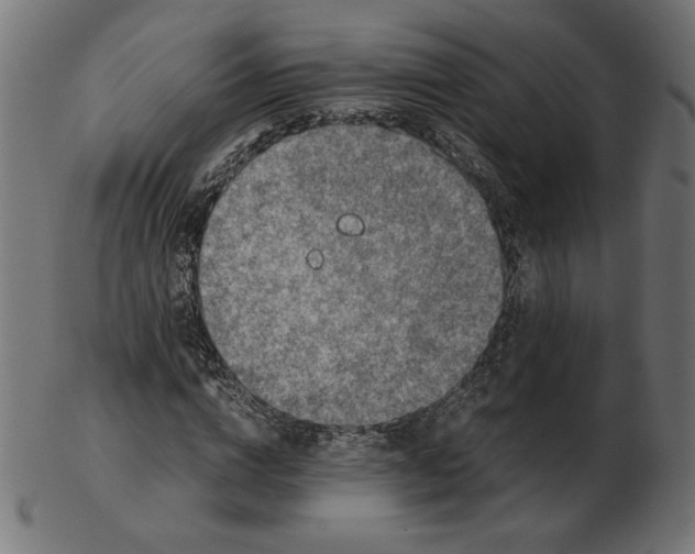 X0000103130824200809121729