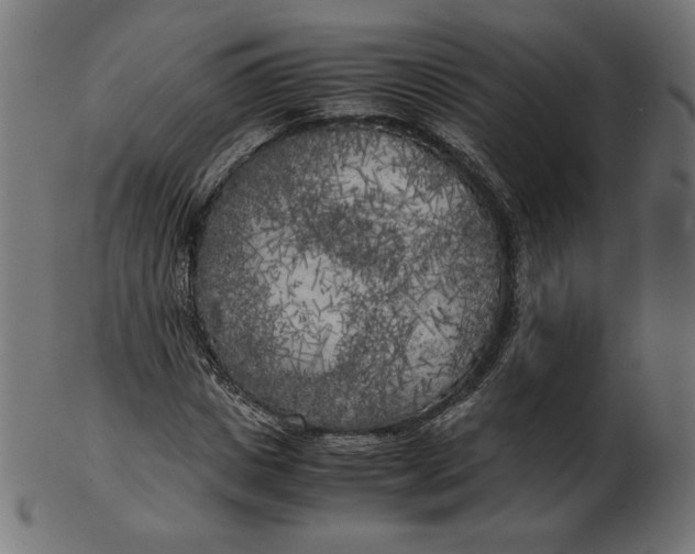 X0000103130825200809121729