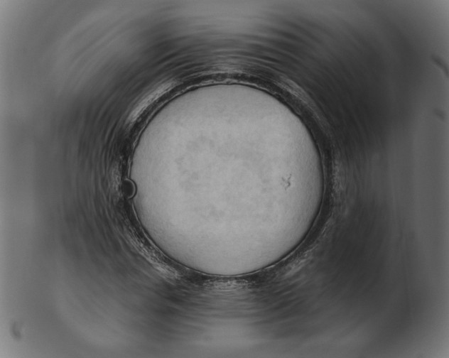 X0000103130826200809121729