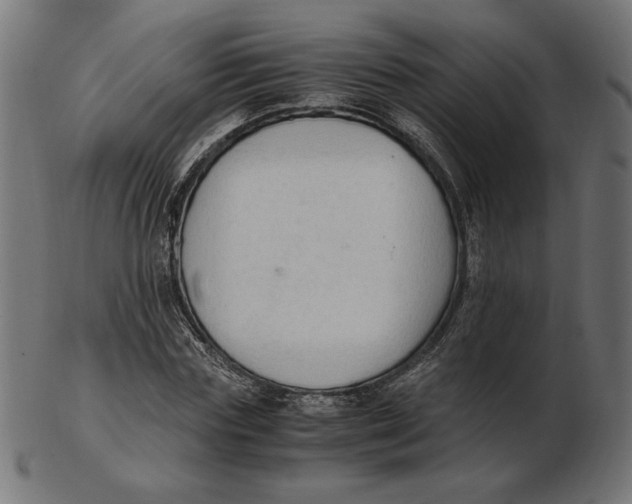 X0000103130827200809121729