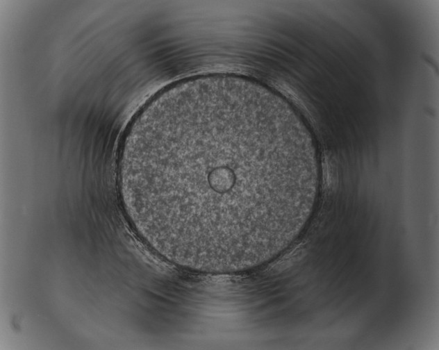 X0000103130828200809121729