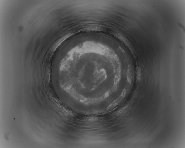 X0000103130829200809121730