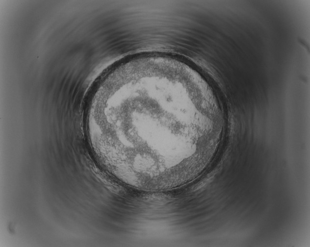 X0000103130830200809121730