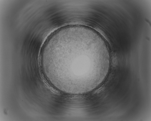 X0000103130832200809121730