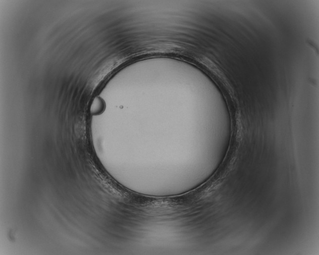 X0000103130834200809121730