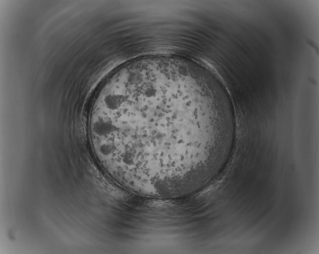 X0000103130835200809121730