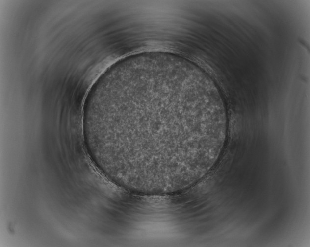 X0000103130836200809121730