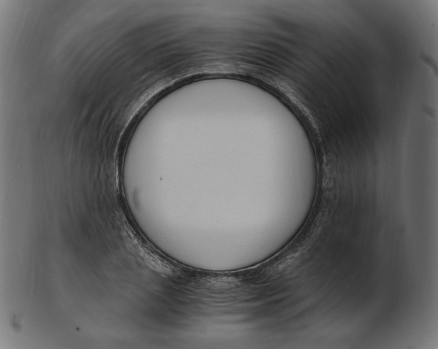 X0000103130837200809121730