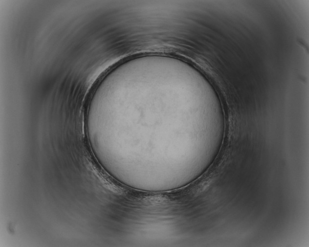 X0000103130838200809121730