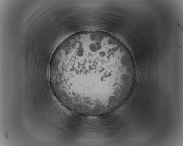 X0000103130839200809121730