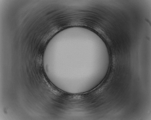 X0000103130841200809121730