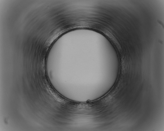 X0000103130842200809121730