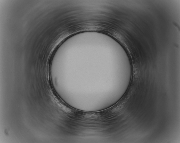 X0000103130843200809121730