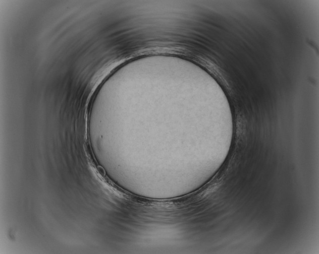 X0000103130844200809121730