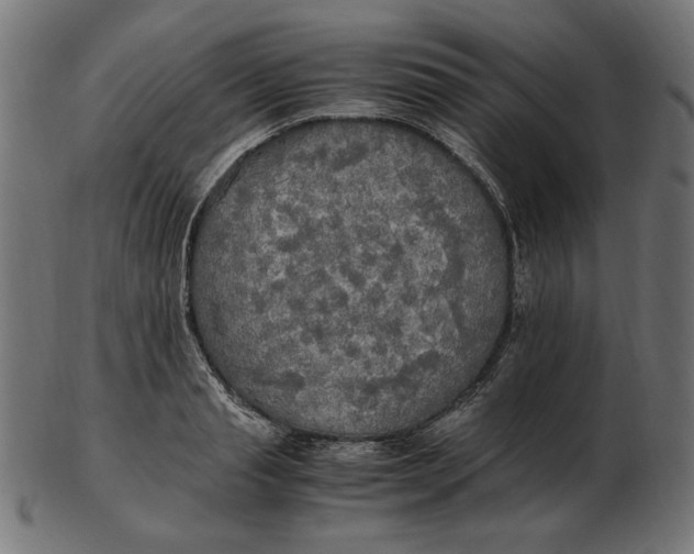 X0000103130845200809121730
