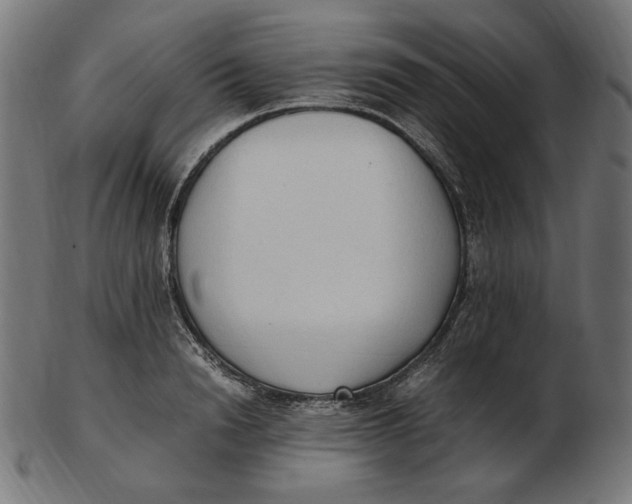 X0000103130846200809121730