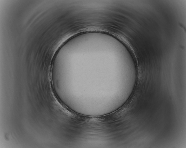 X0000103130847200809121730