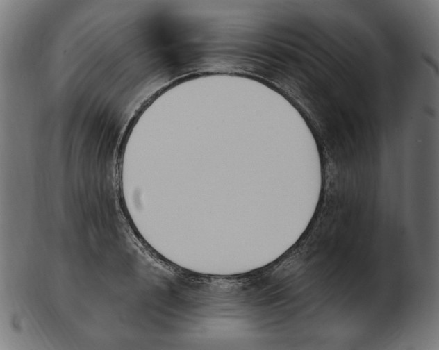 X0000103130848200809121730