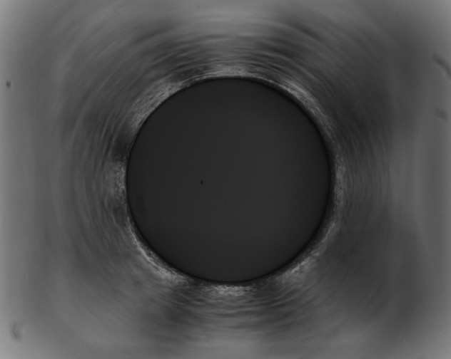 X0000103130849200809121730