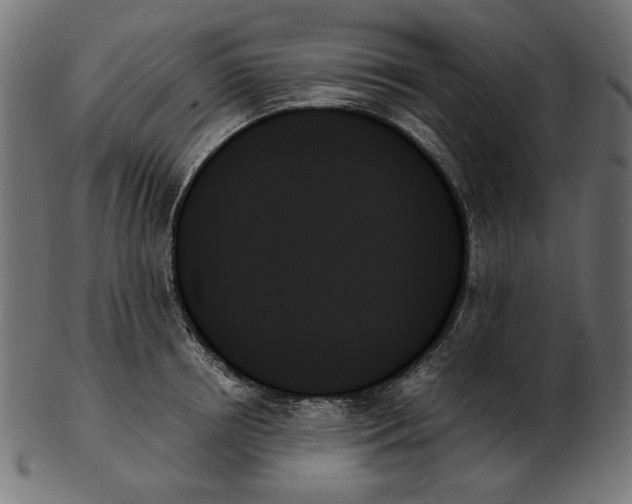 X0000103130850200809121730
