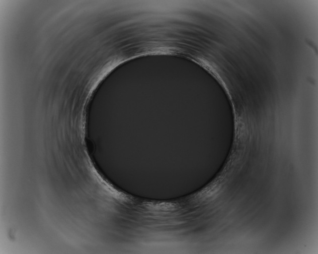 X0000103130851200809121730