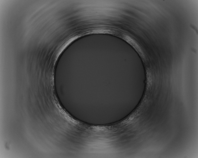 X0000103130852200809121730