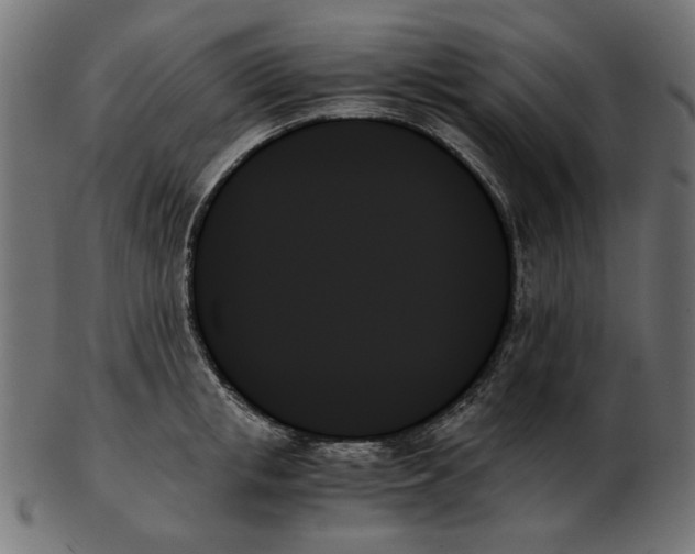 X0000103130853200809121730