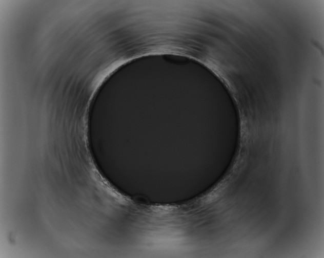 X0000103130854200809121730