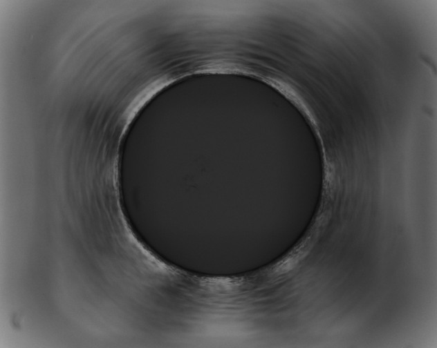 X0000103130855200809121730