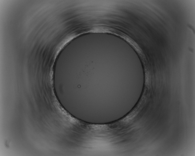 X0000103130856200809121730