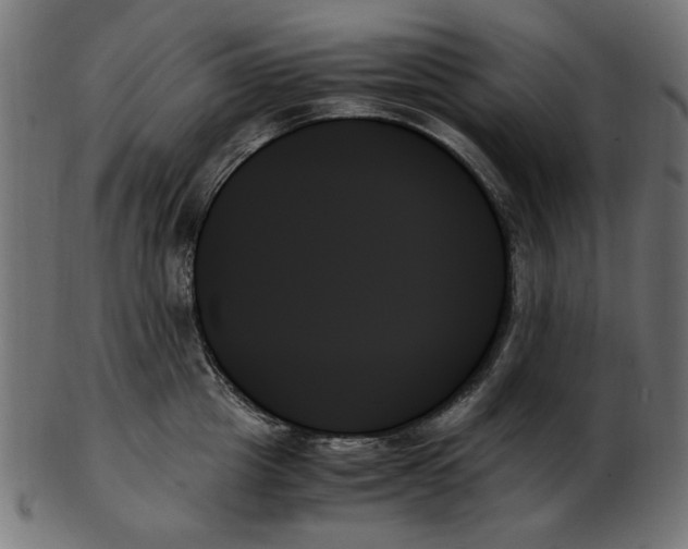 X0000103130857200809121730