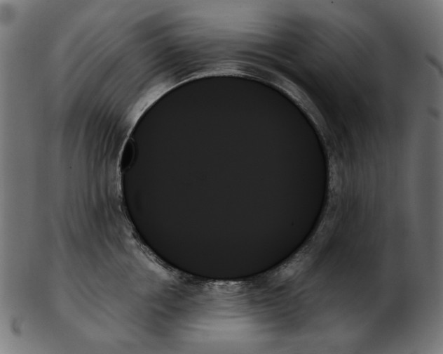 X0000103130858200809121730