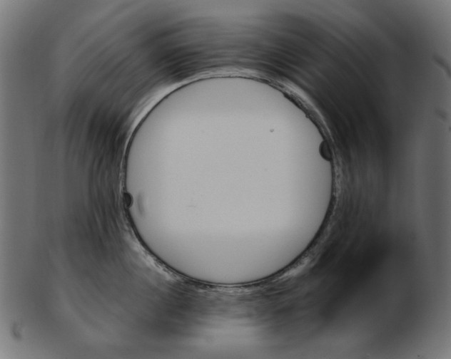 X0000103130860200809121730