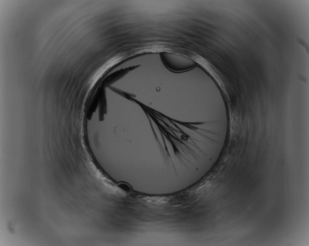 X0000103130861200809121730