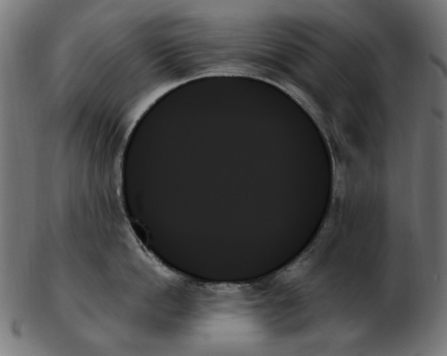 X0000103130862200809121730