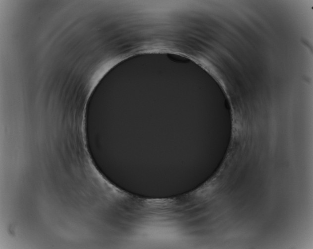 X0000103130863200809121730