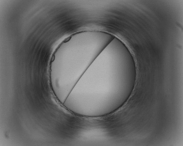 X0000103130864200809121730