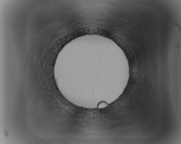 X0000103130865200809121729