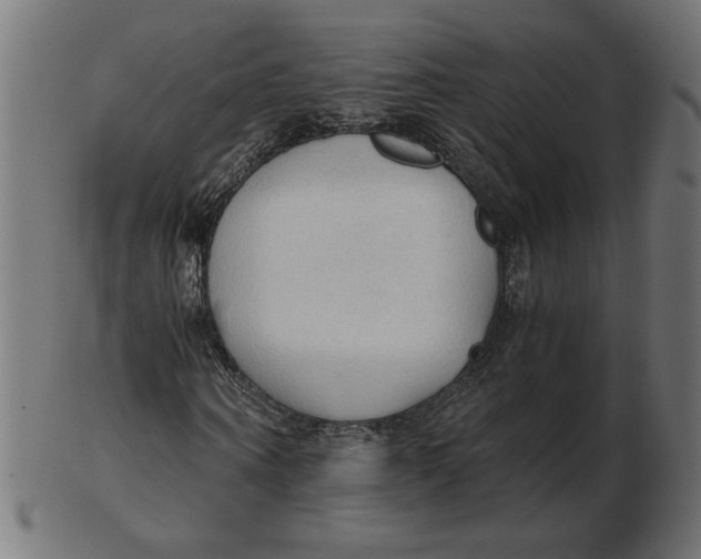 X0000103130866200809121729
