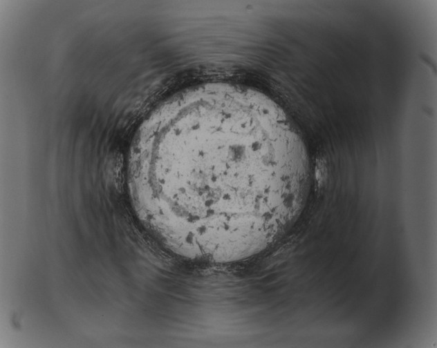 X0000103130867200809121729
