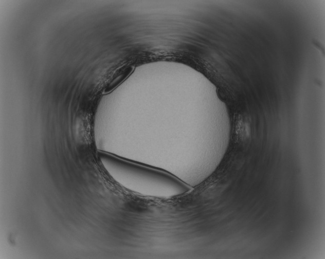 X0000103130868200809121729