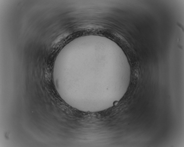 X0000103130869200809121729