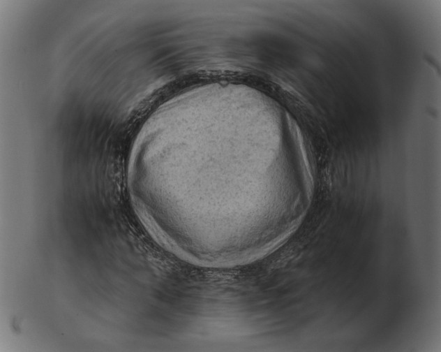 X0000103130870200809121729