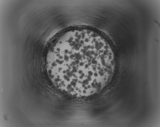 X0000103130871200809121729