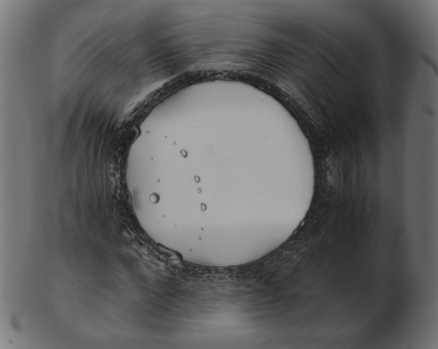 X0000103130872200809121729