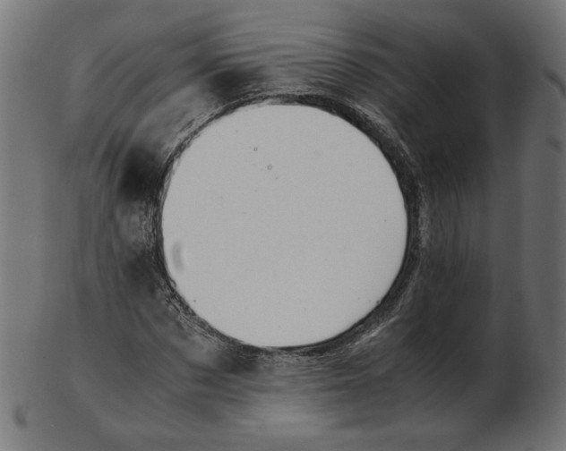 X0000103130873200809121729