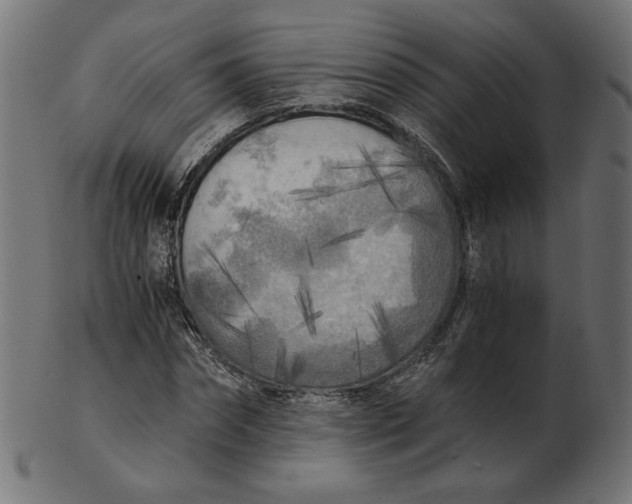 X0000103130874200809121729